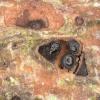 message #85250
