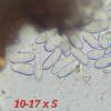 message #82004