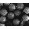 leucosporus