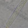 elegans
