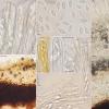 ferruginosum