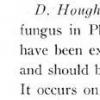 houghtonii