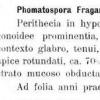 fragariae